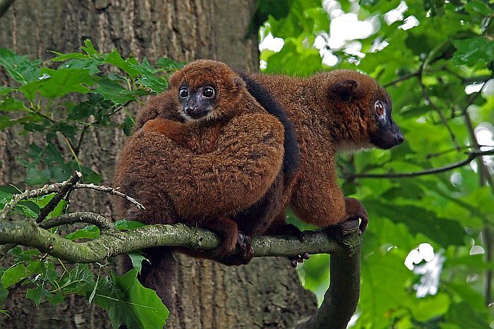 Il Sud del Madagascar