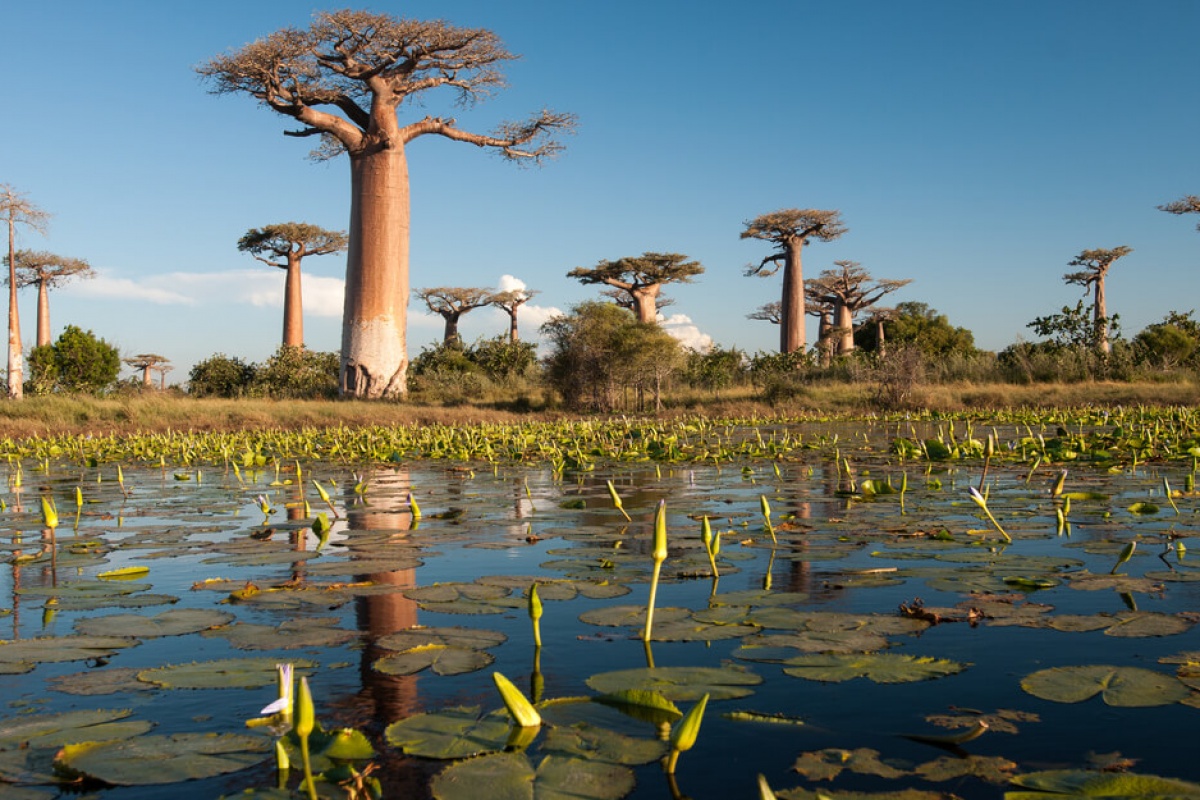Madagascar Est & Ovest