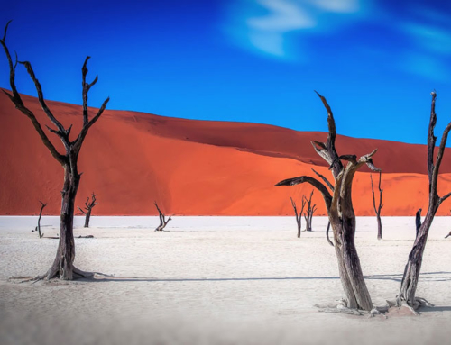 ORIZZONTI NAMIBIANI 11 Giorni / 10 notti