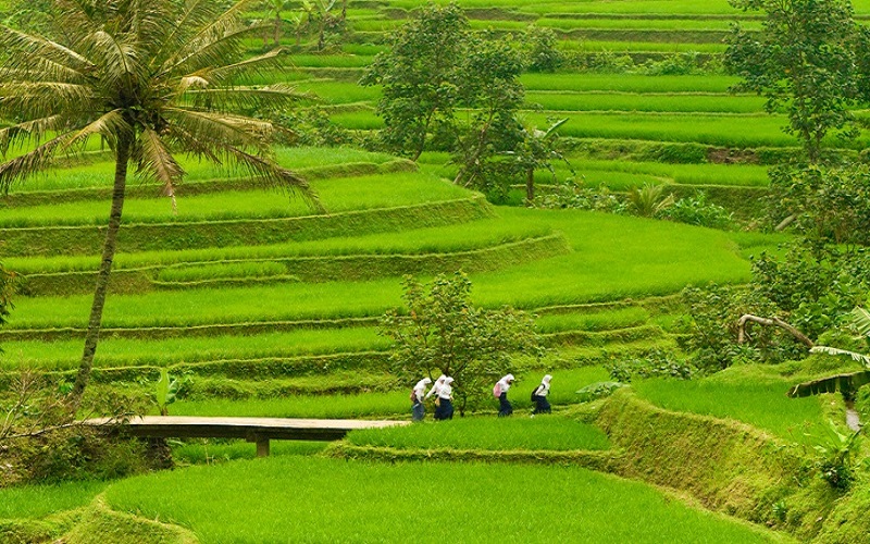 Partenze settimanali da Sanur da Aprile a Settembre - Bali - Sanur