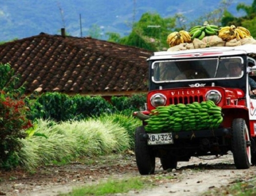 Tour Aroma di Caffè 2019    – 10 giorni – 9 notti – partenze a date fisse
