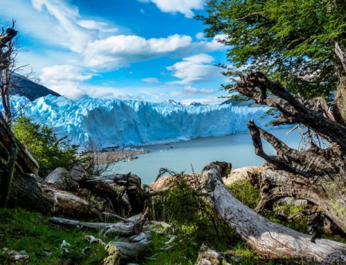 TOUR ARGENTINA SUD E NORD 2020 – PARTENZE GIORNALIERE E ATTIVITA’ IN ITALIANO