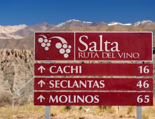 TOUR ARGENTINA DEL NORD 2020 – PARTENZE GIORNALIERE E ATTIVITA’ IN ITALIANO
