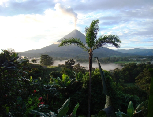 COSTA RICA… IL MONDO VERDE