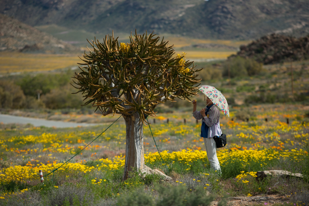 GLAM NAMAQUALAND